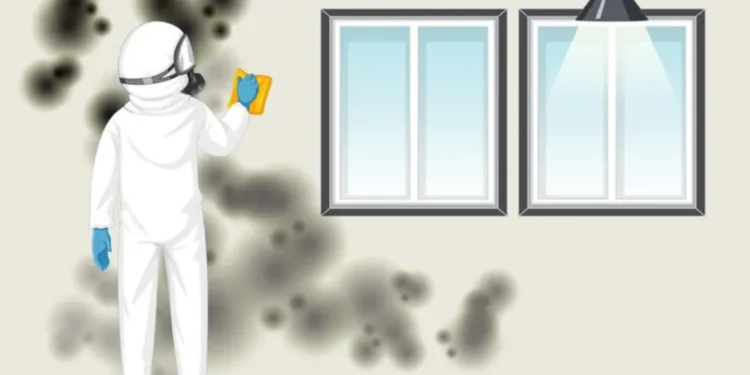Can Bed Bugs Travel Through Walls Best In 2024