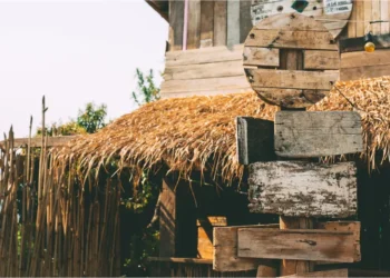 What Does Fiber Thatch Information Means The Guide 2023