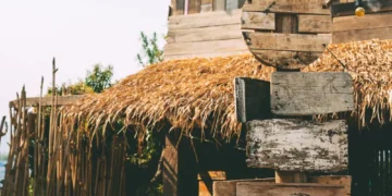 What Does Fiber Thatch Information Means The Guide 2023