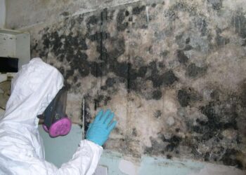 How To Start A Mold Remediation Business