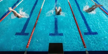 Everything You Need To Know About Sports Pool