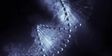 Which Are The Careers That Combine DNA Technology And Medicine