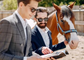 How to Start a Horse Boarding Business